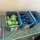 불은면-11 | 12월 강화도 워크샵 후기! 강화 레포츠파크 고카트는 필수