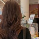 다옴드라이 이미지