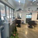 비비드 수헤어 이미지