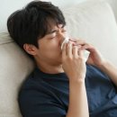 양지꽃 | 양지꽃 효능과 숨겨진 꽃말, 나도양지꽃 등 종류 완벽 정리