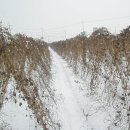 지명농장 이미지