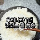 우리나라 7대 맛있는 쌀 품종 추천