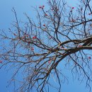 강변길 북천 이미지