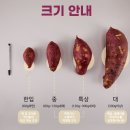 민건농장 네이버블로그