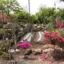 행복민박 이미지