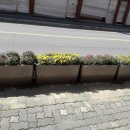 중앙로길 서울뉴스통신