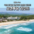 속초애견 더 이쁘개 | 강원도 애견동반숙소추천 오션투유리조트 고성 속초 가족여행 후기