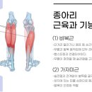 제우스짐헬스 네이버블로그