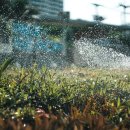 연중농장 이미지