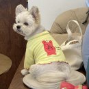 코코다방 이미지