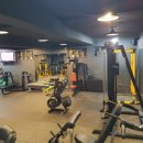 서세환 짐 이미지