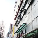 영창애견