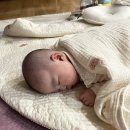 한양여관 이미지