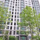 중앙동로 이미지