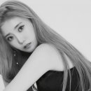 씨나인 이미지