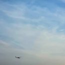 (주)미시건보리