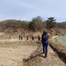 3월10일(목) 경남 밀양시 (왕바우봉.부연봉.회운봉.서은덤봉.애기바우봉.함박산.안골봉-고사산) 이미지