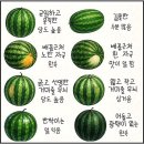 푸라닭안양 - 안양시 만안구 경수대로 1272 | [26.07.] 블로그 쓰려고 일부러 사소한 사진 남겨둬요