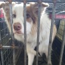 비전5로 이미지