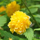 살둔산장 이미지