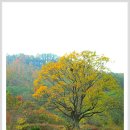 뒷골목장 이미지