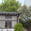 아인스빌(민간개방화장실) | 대구 대봉동 카페 추천 오가닉모가 라일락 한옥감성