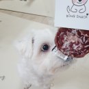 꿀꿀이 꽈배기 이미지