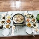 신 청동오리