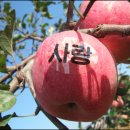 삼원초등학교 이미지