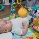 유호체육관 이미지