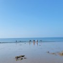 센티마르 이미지