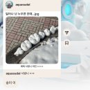 아센PC방 | 그대 작은 나의 세상이 되어