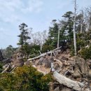 관음사 가는길 이미지