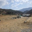 디아이엘초롱부동산중개사무소 | 집보다 먼저 자란 초록이들!! 세컨하우스 토목공사 후 텃밭 가꾸기
