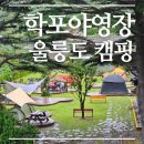 최고의 바다뷰 아쉬웠던 날씨 울릉도 학포야영장 소개 및 캠핑 후기 (feat. 독도 새우 파는곳)