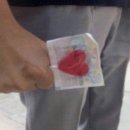 구례쉼뜰 네이버블로그