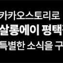 살롱에이(salon a) - 양천구 | 살롱에이(salon a)