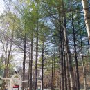 산새어린이공원 이미지