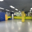 용인대 푸르미르 태권도 이미지