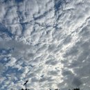 멍!구름 이미지