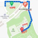 🌼 20개월 아기와 다녀온 대구수목원 국화축제 후기/주차전쟁, 국화만개, 산책길, 열대과일원