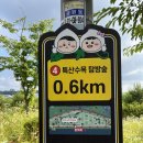 한강집생태 | 김포 한강야생조류생태공원 ( Feat. 주차 &amp; 뷰_아이랑 산책 )