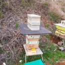 봉연농장 이미지