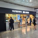 비엔씨 박스앤컵