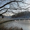 신대호수 이미지