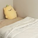 화이트워싱 | 호텔 이불 감성 마이라이크 알러지케어 항균 사계절 워싱 이불 슈퍼싱글 후기