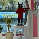 부티뽀샤 이미지