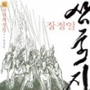 봉추, 낙봉파에서 지다 - 삼국지 2009 ⑥ - [삼국지6(삼국의 정립)] 이미지