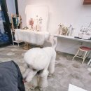 (주)한국반려동물아카데미 네이버블로그