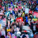 행정사법인 느티나무 이미지